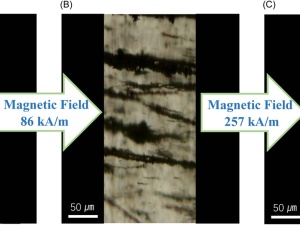 Core/Shell Magnetite/Copolymer Composite Nanoparticles Enabling Highly Stable Magnetorheological Response