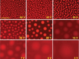 Electric Field Driven Reversible Spinodal Dewetting of Thin Liquid Films on Slippery Surfaces