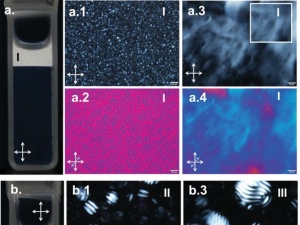 Cellulose Nanocrystal Aqueous Colloidal Suspensions: Evidence of Density Inversion at the Isotropic-Liquid Crystal Phase Transition
